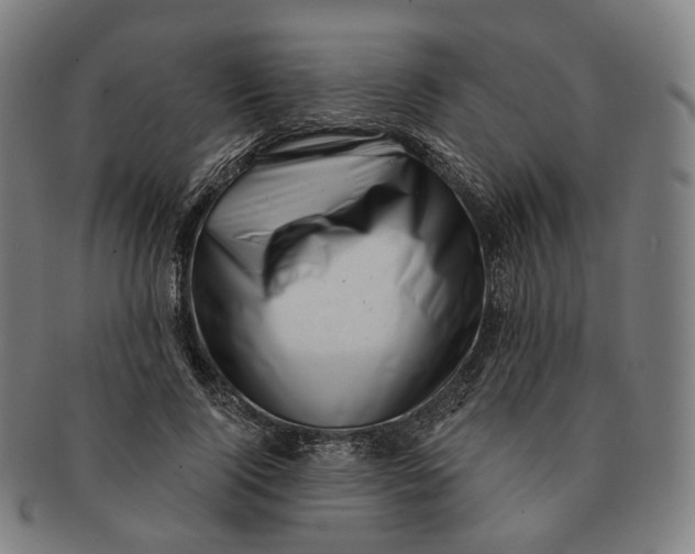 X0000091000740200708241449