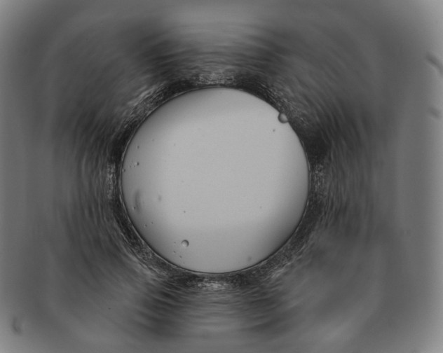 X0000091000741200708241449