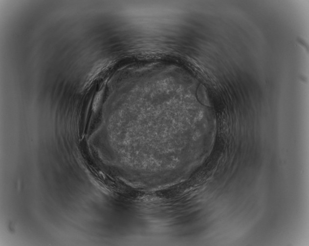 X0000091000742200708241449