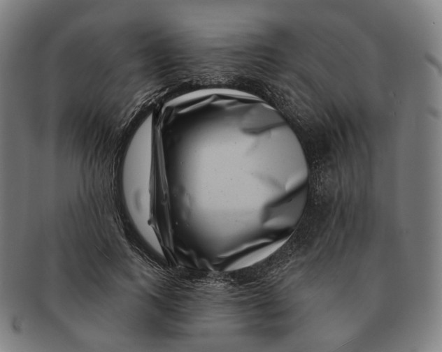 X0000091000743200708241449