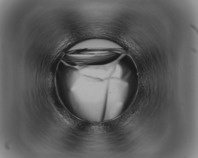 X0000091000744200708241449