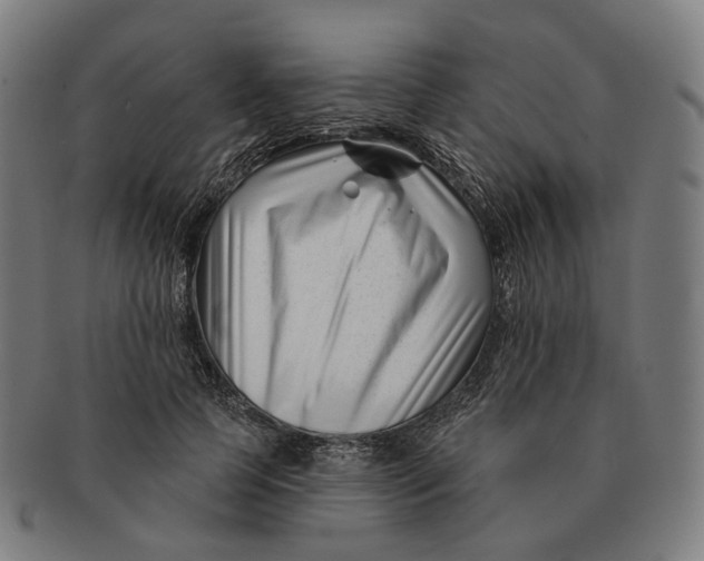 X0000091000745200708241449