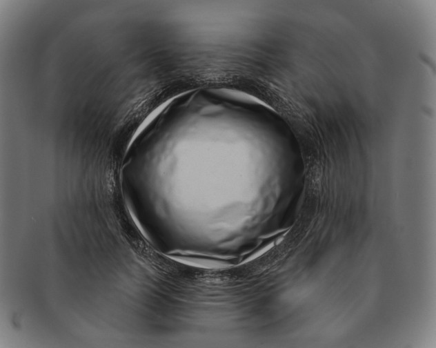 X0000091000746200708241449