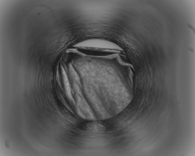 X0000091000747200708241449