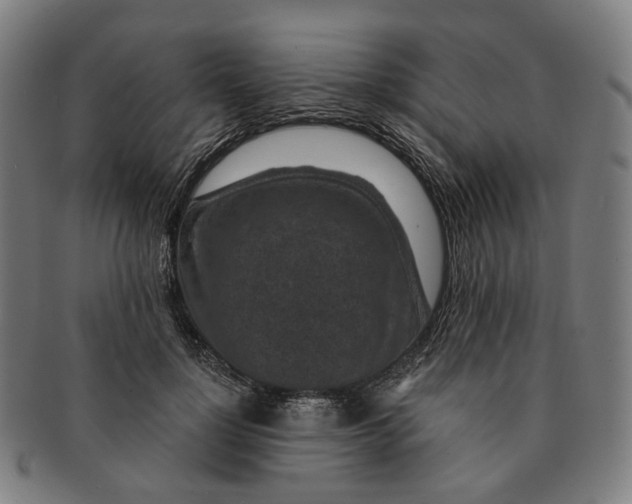 X0000091000748200708241449