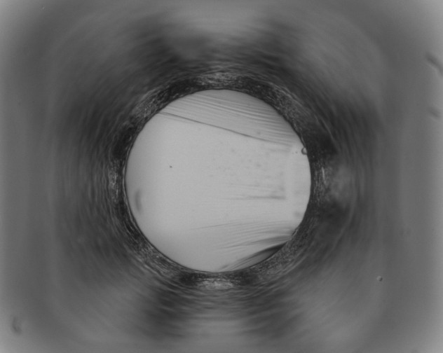 X0000091000749200708241449