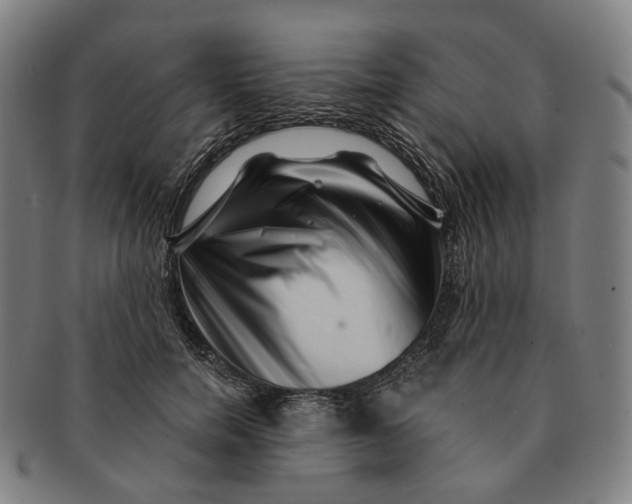 X0000091000750200708241449