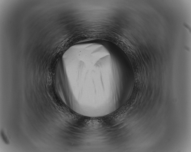 X0000091000751200708241449