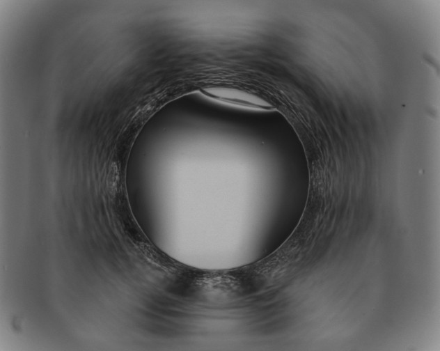 X0000091000752200708241449