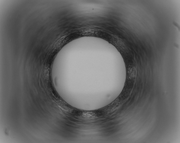 X0000091000753200708241449