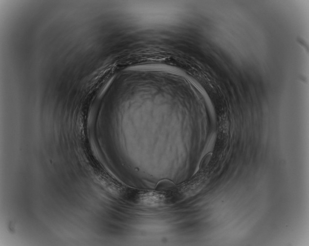 X0000091000754200708241449