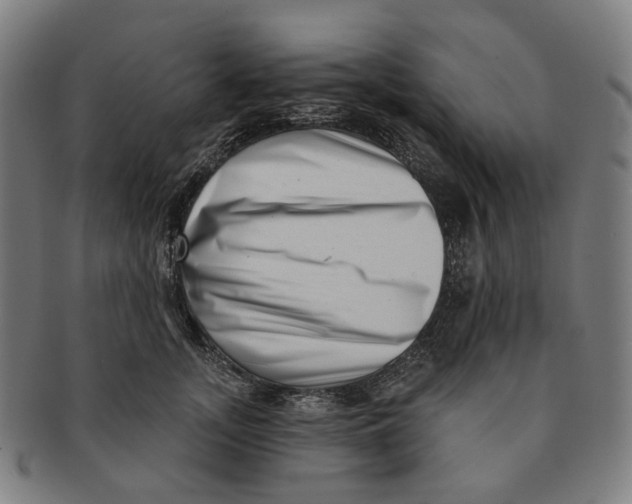 X0000091000755200708241449