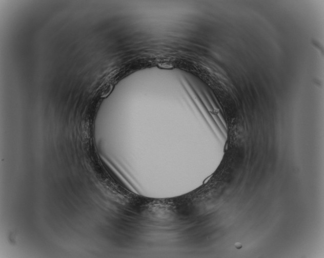 X0000091000756200708241449