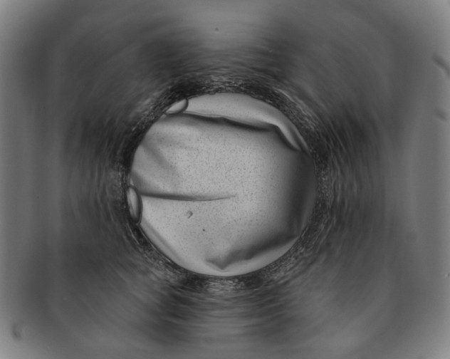 X0000091000757200708241449