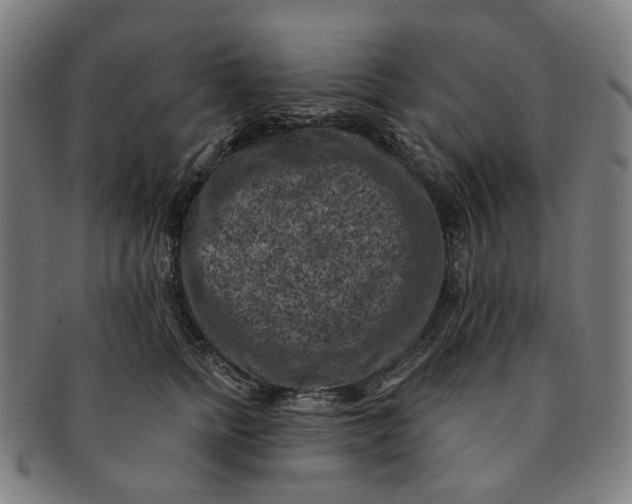 X0000091000758200708241449