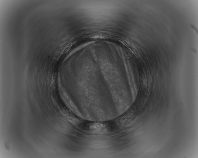 X0000091000759200708241449