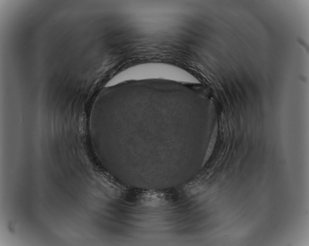 X0000091000760200708241449