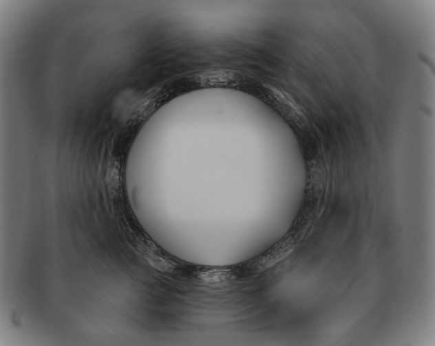 X0000091000761200708241449