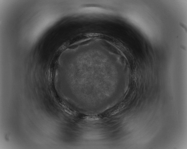 X0000091000763200708241449