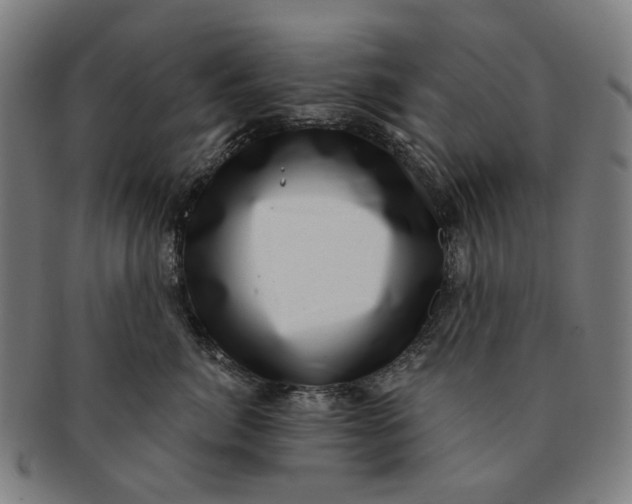 X0000091000764200708241449