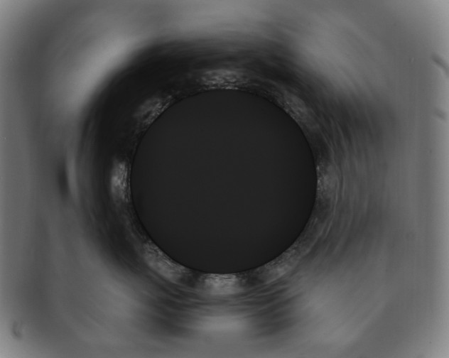 X0000091000767200708241449
