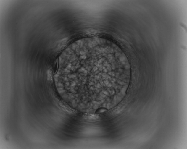 X0000091000768200708241449