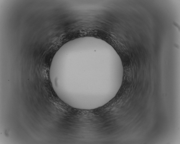 X0000091000770200708241449