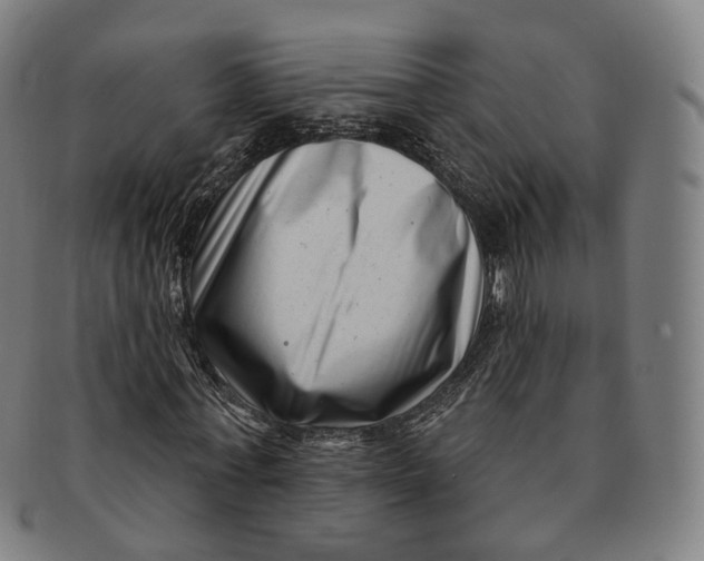 X0000091000771200708241449