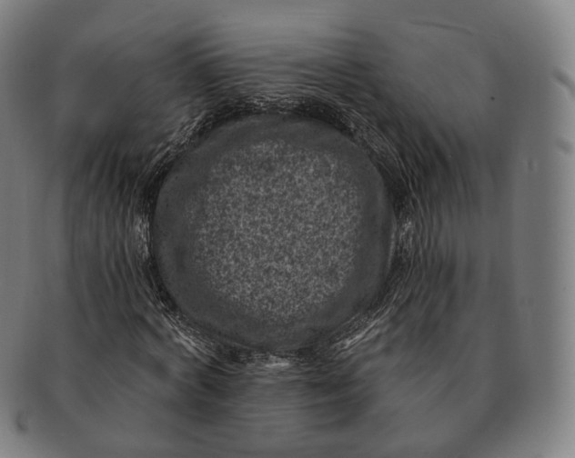 X0000091000772200708241448