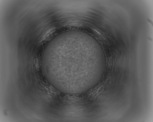 X0000091000774200708241448