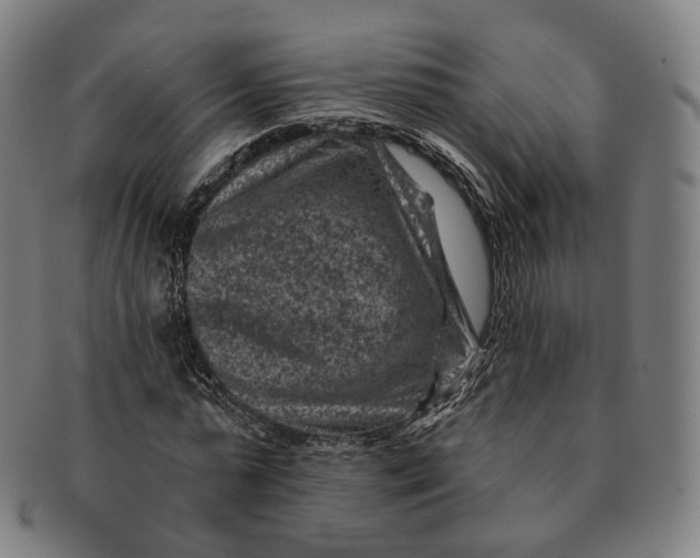 X0000091000775200708241448