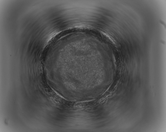 X0000091000776200708241448