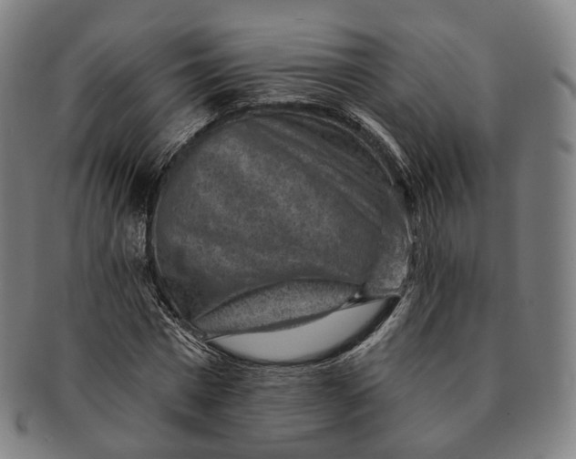 X0000091000777200708241448