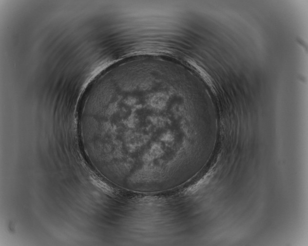 X0000091000779200708241448