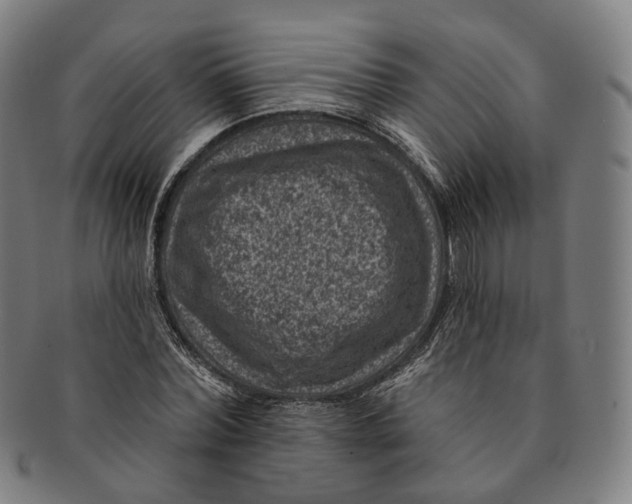 X0000091000780200708241448
