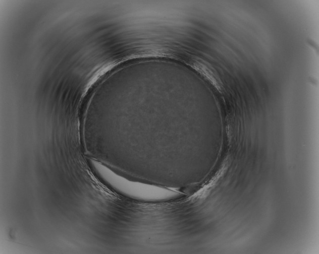 X0000091000781200708241448