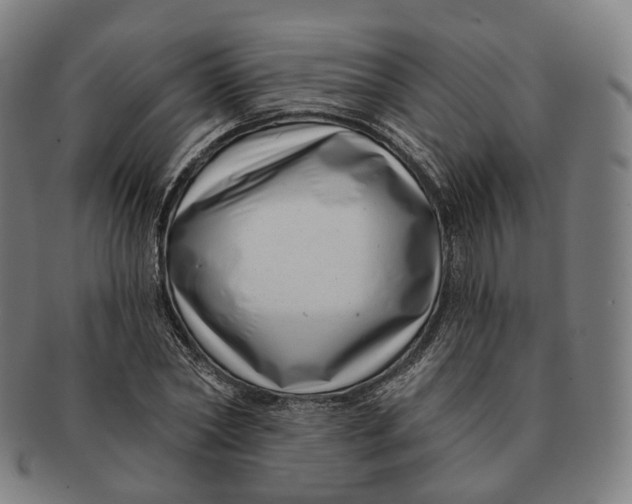 X0000091000782200708241448