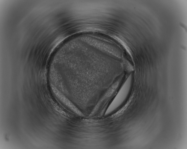 X0000091000783200708241448