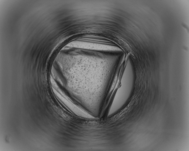 X0000091000784200708241448