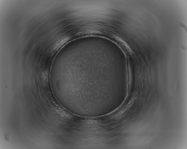 X0000091000785200708241448