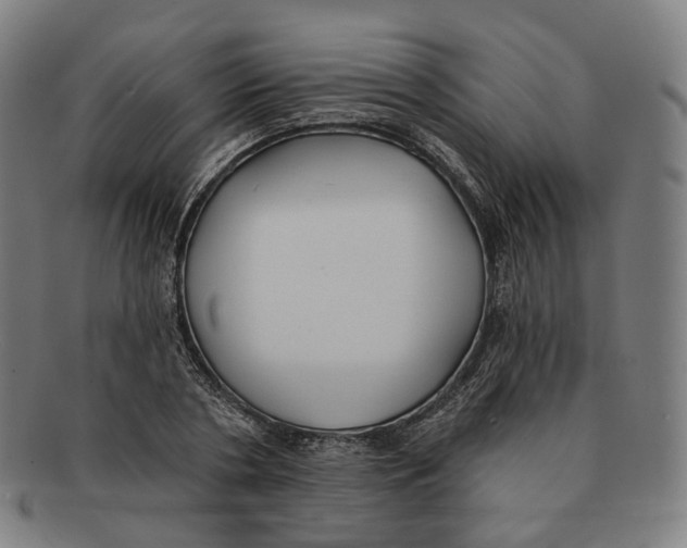 X0000091000786200708241448
