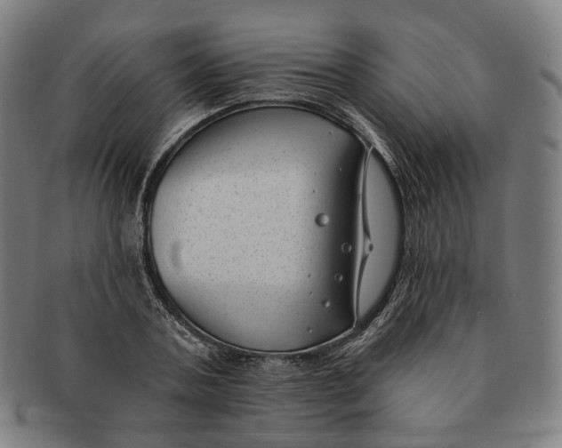 X0000091000787200708241448