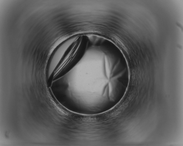 X0000091000789200708241448