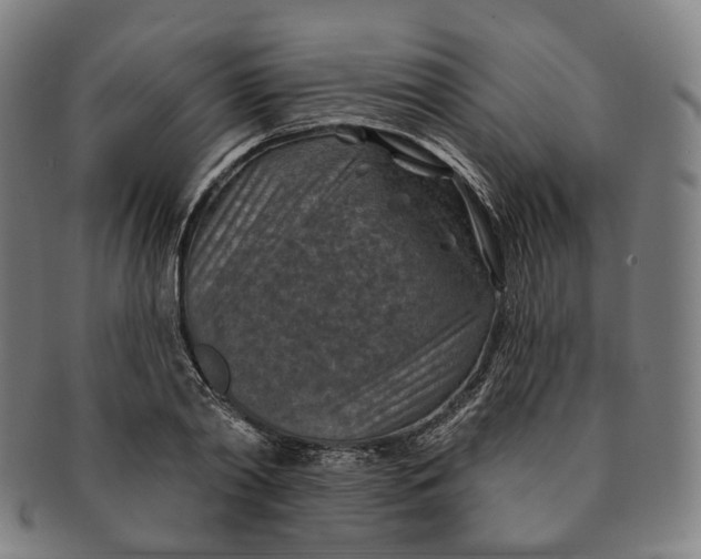X0000091000790200708241448
