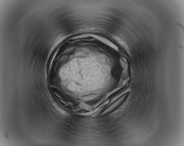 X0000091000792200708241448