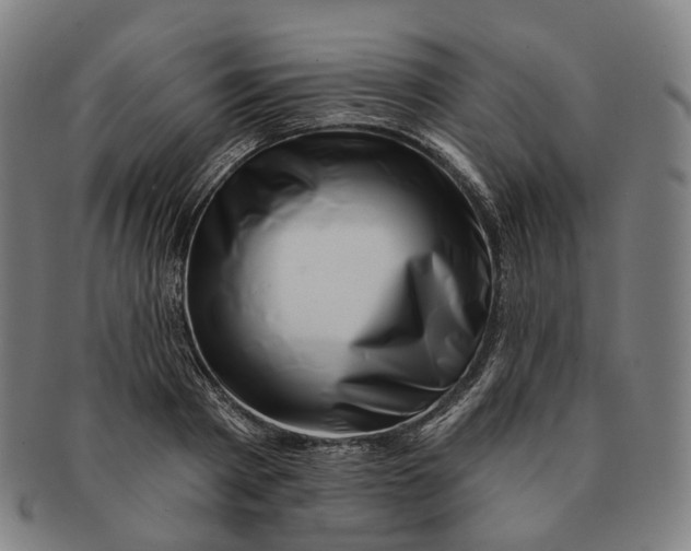 X0000091000793200708241448