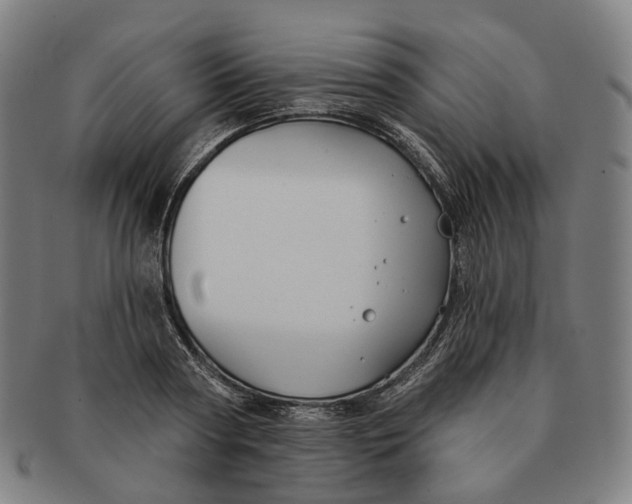 X0000091000794200708241448