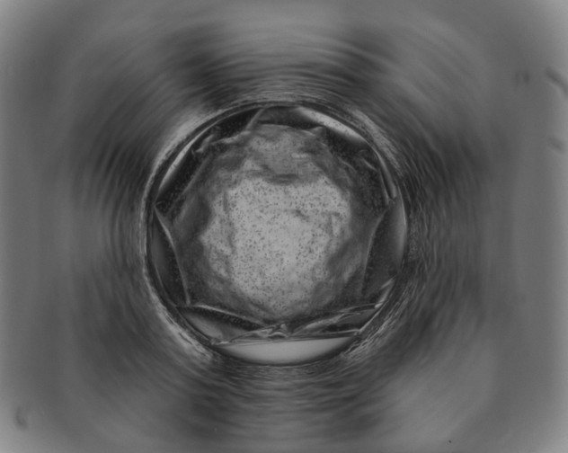 X0000091000795200708241448
