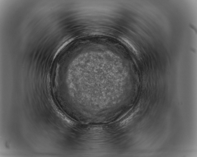 X0000091000798200708241448