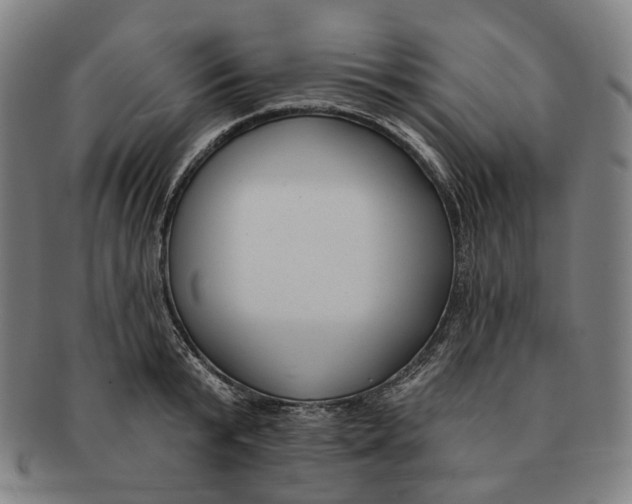 X0000091000799200708241448
